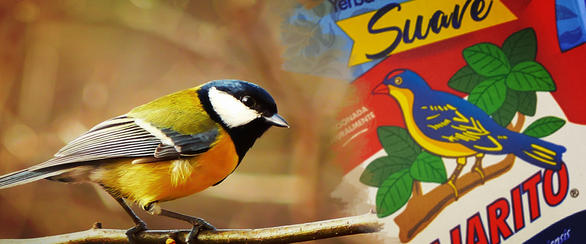  Mate Tee Pajarito Suave (soft)