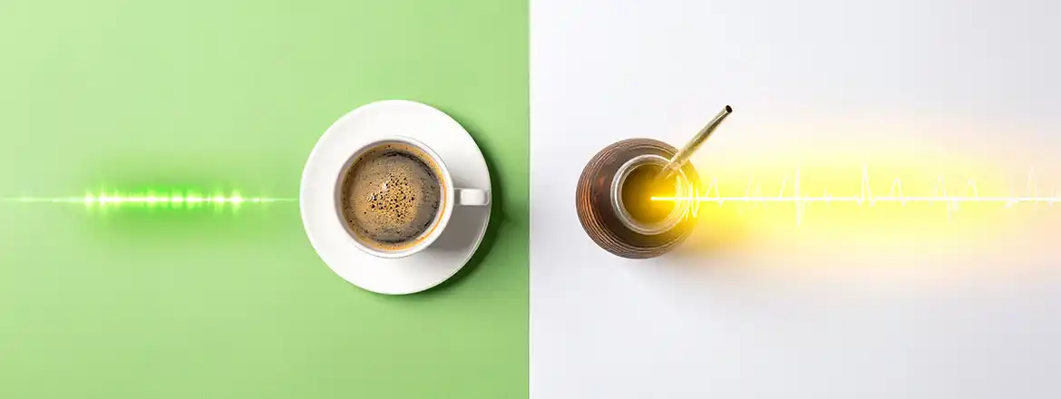 Comment fonctionne le yerba mate et est-il plus stimulant que le café ?