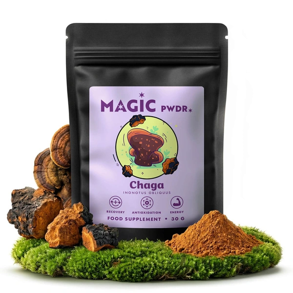 Magic Pwdr chaga mushroom supplément