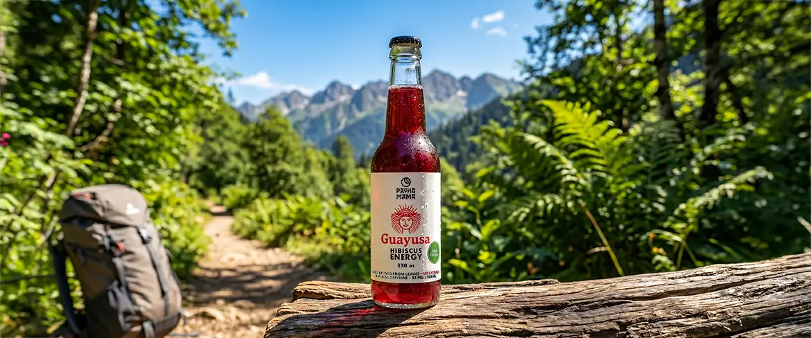 Une boisson naturelle à base de guayusa sur un sentier de montagne – Guayusa Pachamama, idéale pour les voyages et les activités de plein air.
