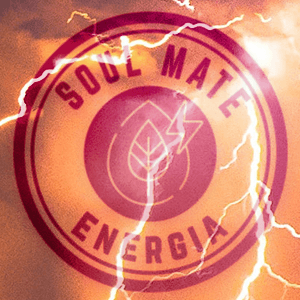 Soul Mate Energia : le maté le plus fort avec certificat organique.