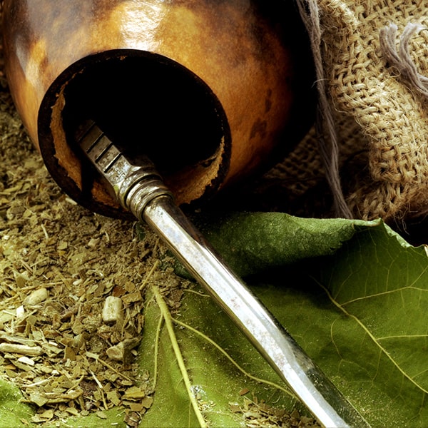 La meilleure yerba maté pour les débutants. Quel maté choisir ?