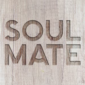 Soul Mate - yerba maté organique sans arômes et ingrédients artificiels !