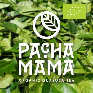 Le guayusa bio c’est mieux ! Voilà pourquoi il vaut mieux miser sur un produit certifié