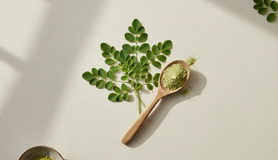 Feuilles de moringa - propriétés, composition et comment les utiliser au quotidien