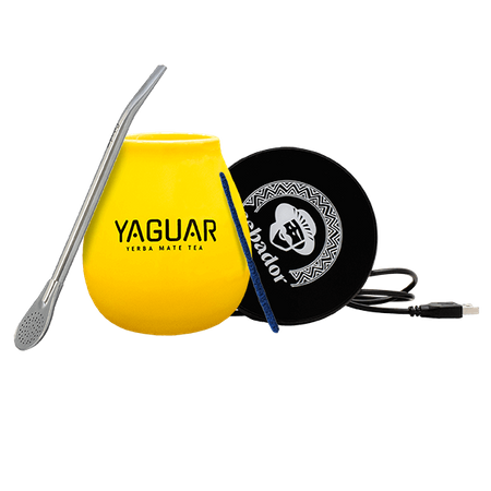 Kit de démarrage pour le chauffage électrique Yaguar