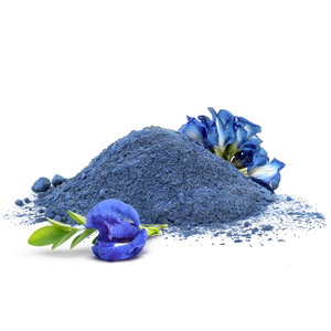 Mary Rose – Blue Matcha Alternative – Butterfly Pea Tea (poudre) 50 g