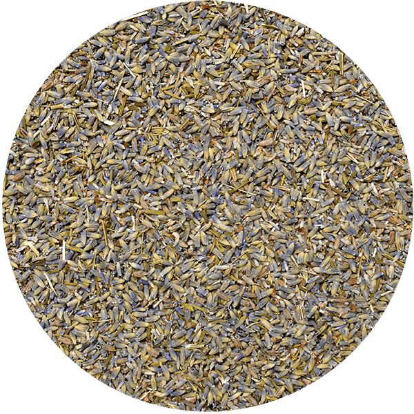 Mary Rose – Lavande 25 g – fleur de lavande (écologique)