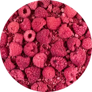 FiloLilo – Framboises lyophilisées 20 g