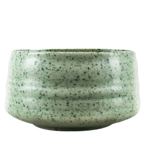 Set d'infusion de thé Matcha: matcha 100g + accessoires