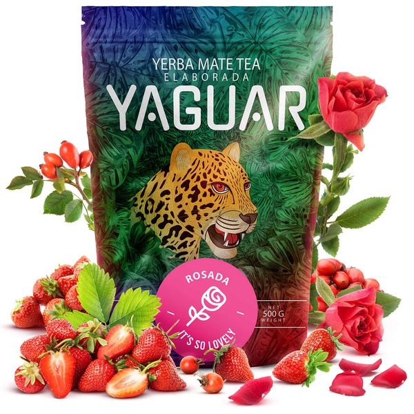 Trio Yerba Verde Mate sur START pour les débutants