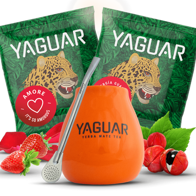 Set Yerba Mateo + Bombilla pour vous aider à démarrer