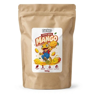 FiloLilo – Mangue lyophilisée en tranches 100 g