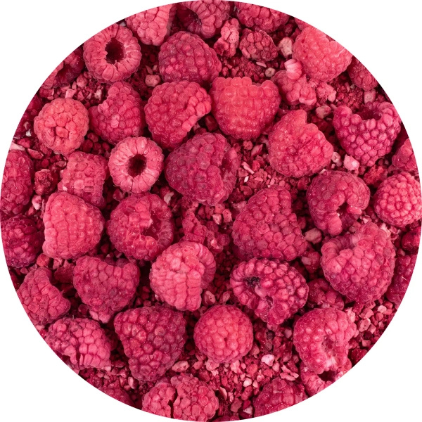 FiloLilo – Framboises lyophilisées 20 g