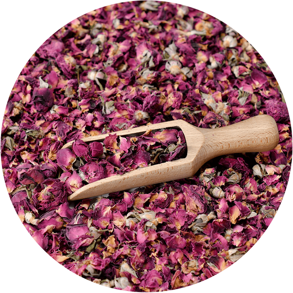 Mary Rose – Rose rouge 100 g – fleur de rose