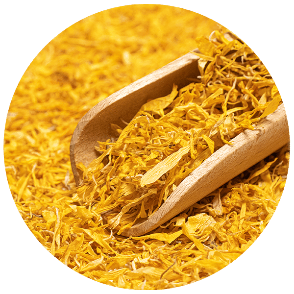 Mary Rose – Souci 100 g – fleur de souci (pétales)