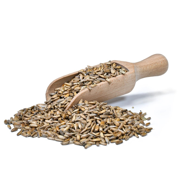 Vivarini – Chardon (graine) 50 g