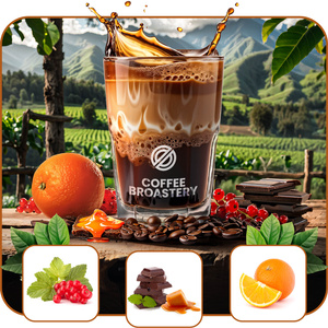 Bro Coffee Roastery – Café en grains Colombia Medellin Premium 400 g