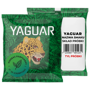 Set Yerba Maté Green 10x50g Matero x2 500g