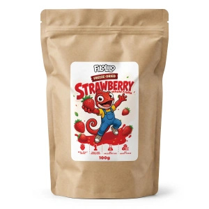 FiloLilo – Fraises lyophilisées entières 100 g