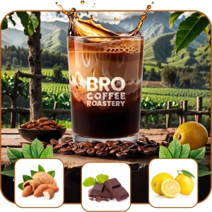 Coffret pour Pumpkin Spice Latte : café Bro Coffee Roastery Brazil Cerrado 1kg + Pumpkin Spice Latte Mix 100g