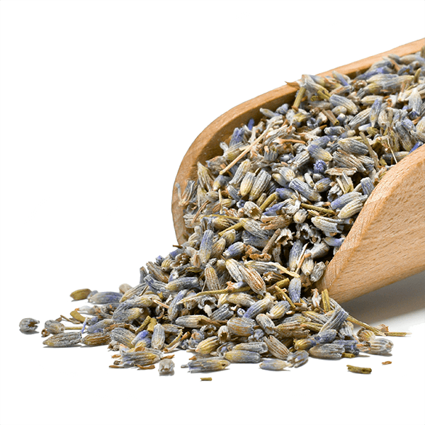 Mary Rose – Lavande 25 g – fleur de lavande (écologique)