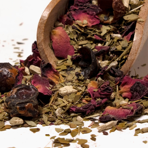 Trio Yerba Verde Mate sur START pour les débutants