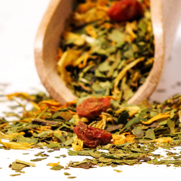 Trio Yerba Verde Mate sur START pour les débutants