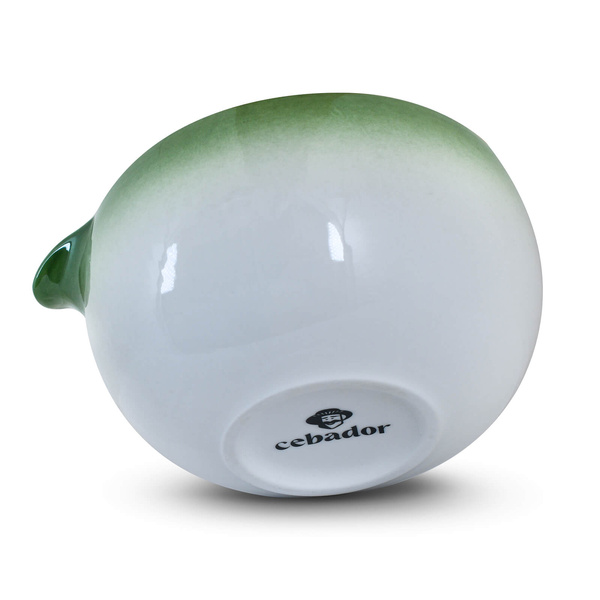 Set d'infusion de thé Matcha: matcha 100g + accessoires