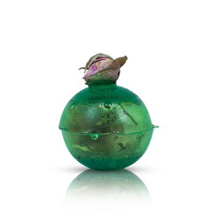 Coffret cadeau – panier gourmand: thé + douceurs + accessoires