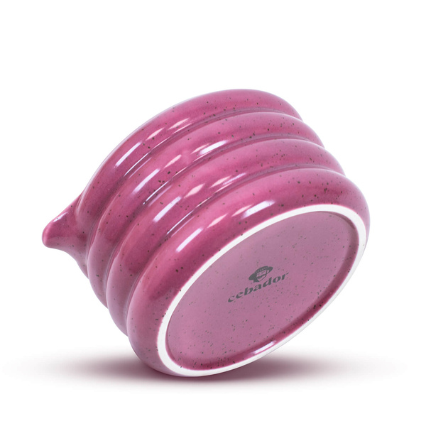 Set d'accessoires pour l'infusion de thé Matcha