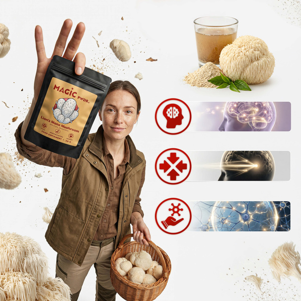 Magic Pwdr – Lion’s Mane – Hydne hérisson 30 g