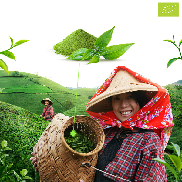 Mary Rose – Thé vert Matcha Tenno japonais (BIO) Cérémoniel 50 g