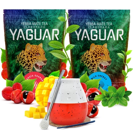 Yaguar yerba maté set céramique calebasse bombilla