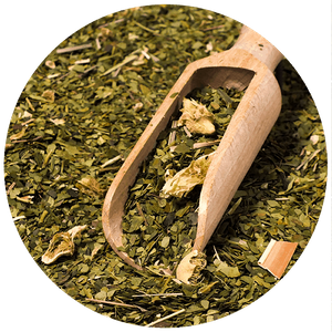 Yerba Verde Mate Green Cactus 50g