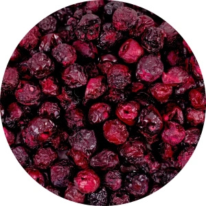 FiloLilo – Cerises lyophilisées entières dénoyautées 100 g