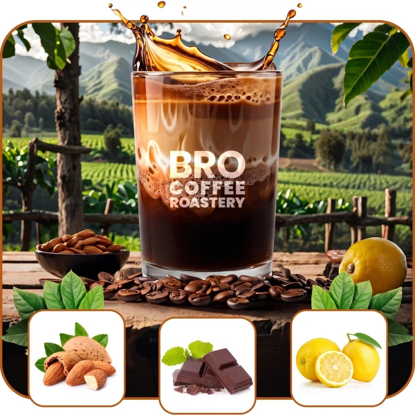 Coffret pour Pumpkin Spice Latte : café Bro Coffee Roastery Brazil Cerrado 1kg + Pumpkin Spice Latte Mix 100g