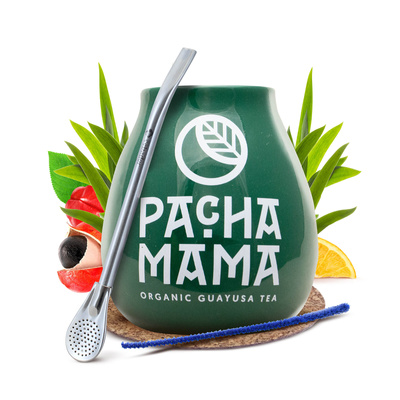 Set une calebasse + Bombilla 19cm Yerba Mate Guayusa