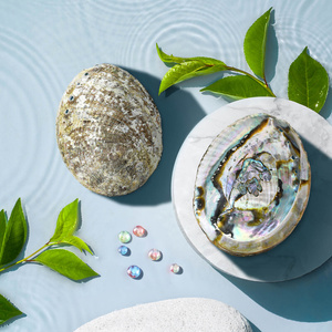 Porte-encens – coquille d’abalone