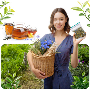 Aromantra x Mary Rose – Thé de l’horoscope – Balance – Thé vert – 50 g