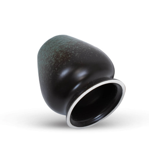 Set d'infusion de thé Matcha: matcha 100g + accessoires