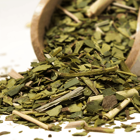Yerbera - Boîte avec Verde Mate Green Melón de Agua 0,5kg