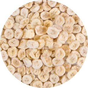 Kit de fruits lyophilisés FiloLilo 5×20g