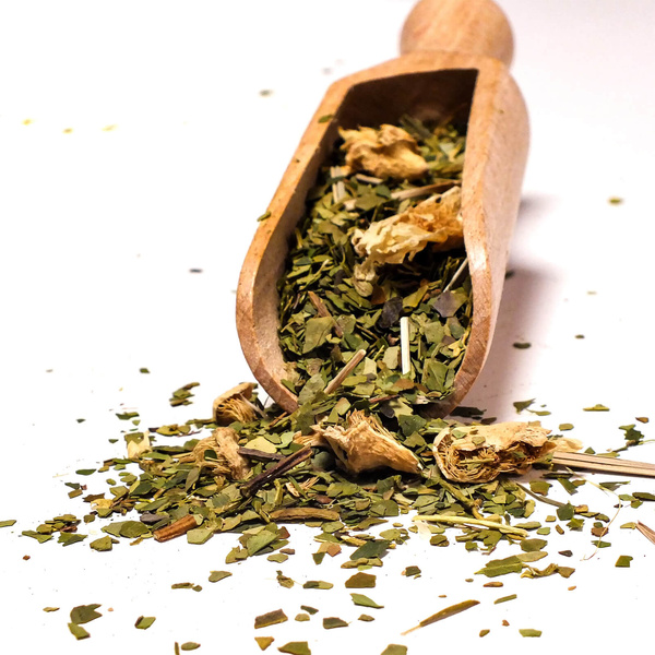 Ensemble de cadeaux Yerba Maté Verde Mate Cactus 0,5kg