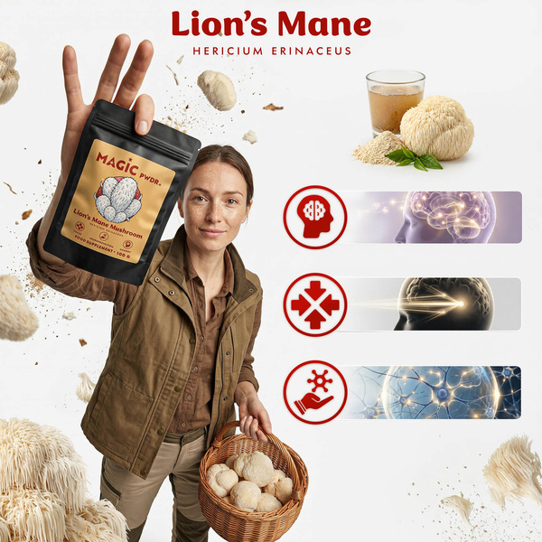Magic Pwdr – Lion’s Mane – Hydne hérisson 100 g