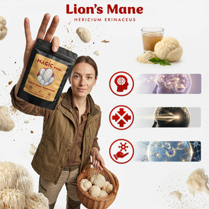 Magic Pwdr – Lion’s Mane – Hydne hérisson 30 g