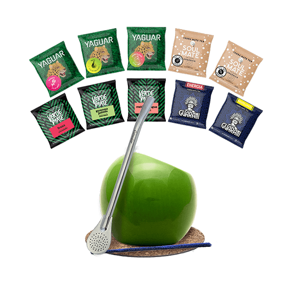 Set Yerba Mate Green 500g une calebasse Bombilla 10x50g