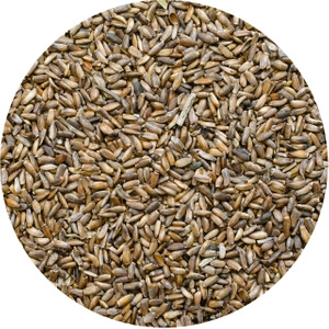 Vivarini – Chardon (graine) 50 g