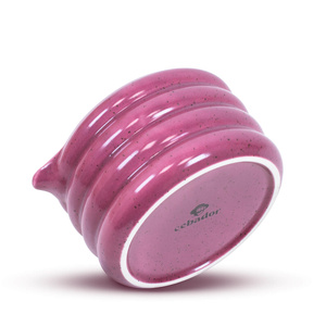 Set d'accessoires pour l'infusion de thé Matcha