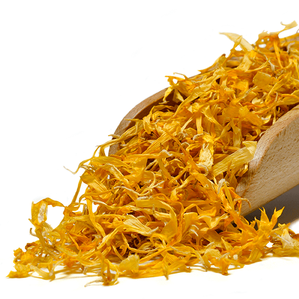 Mary Rose – Souci 10 g – fleur de souci (pétales)